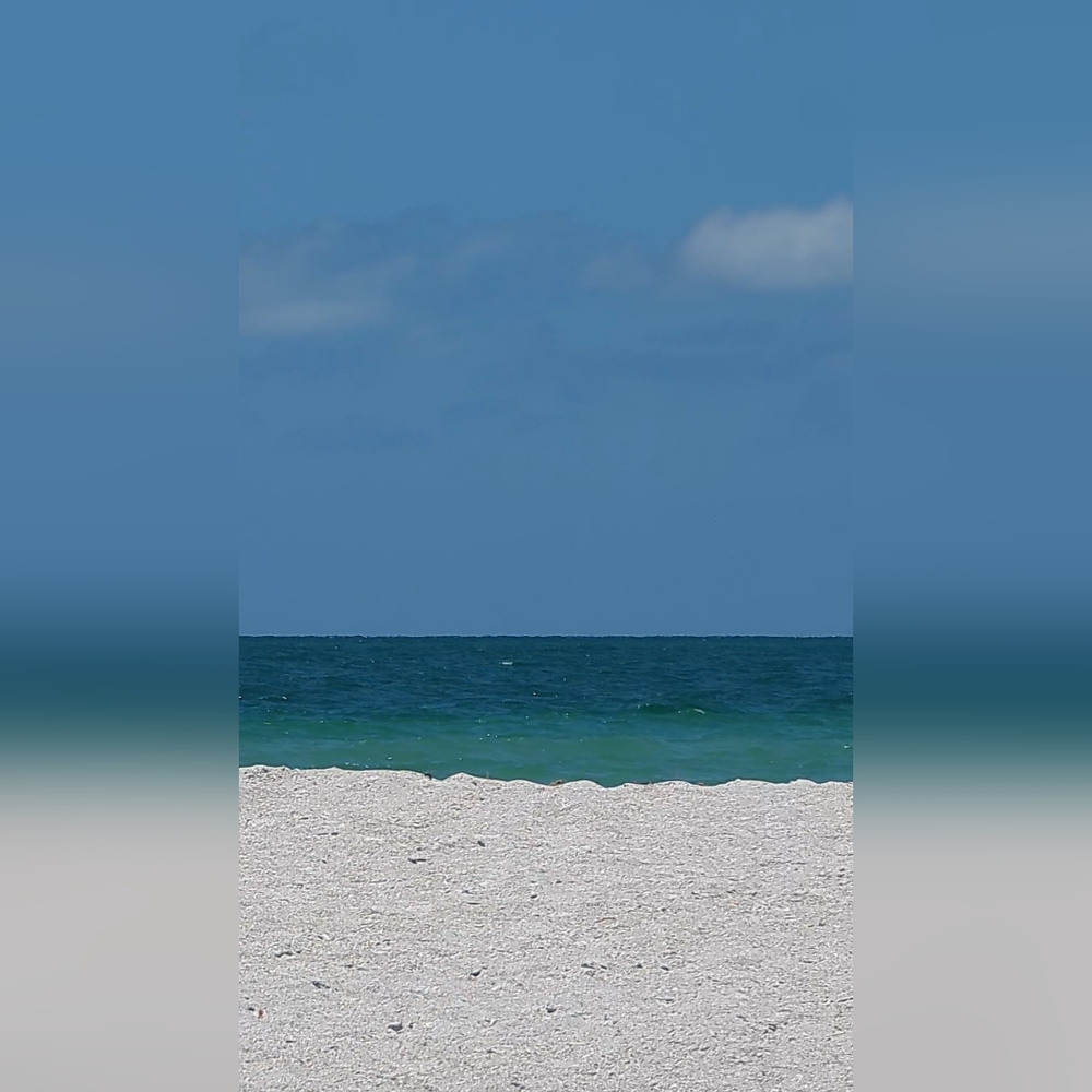 LIVE SHOW LISTING 🌻🌻🌻🌻 - Picture 15 of 16